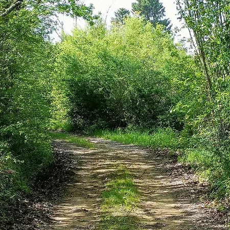 Hébergement de vacances En Périgord Noir