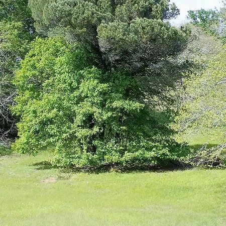 En Périgord Noir Casa vacanze La Borie Blanche